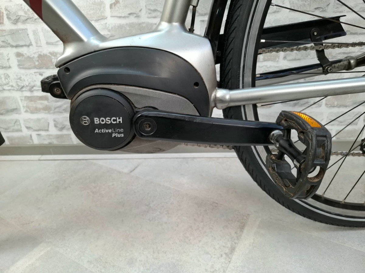 Koga E-Inspire 500Wh Heren 2020-54 cm-Zilver - Afbeelding 4